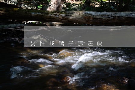 女性找鸭子违法吗 女性找鸭子违法吗