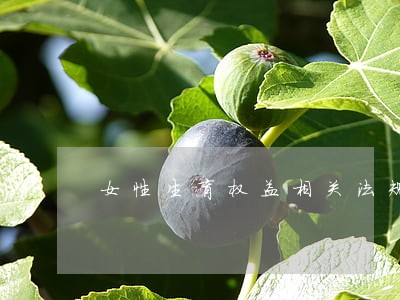 女性生育权益相关法规 女性生育权益相关法规
