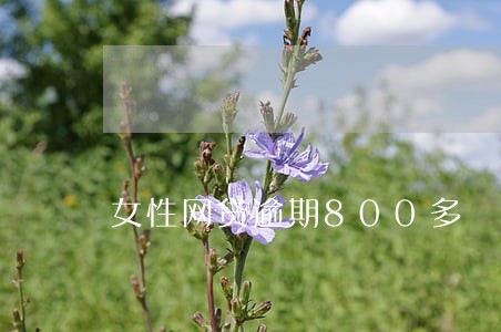 女性网贷逾期800多 女性网贷逾期800多