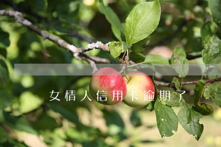女情人信用卡逾期了