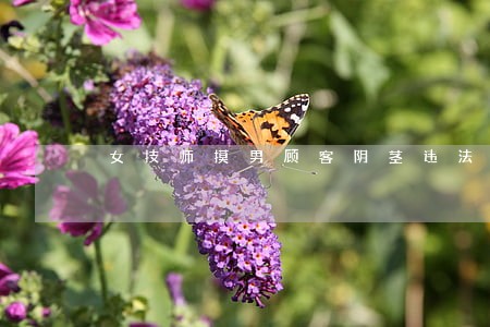 女技师摸男顾客阴茎违法吗 女技师摸男顾客阴茎违法吗