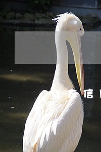 女方信用卡逾期 女方信用卡逾期