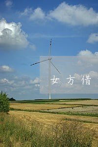 女方借贷款逾期了影响孩子 女方借贷款逾期了影响孩子