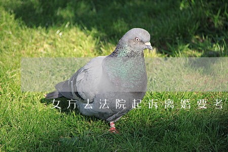 女方去法院起诉离婚要考滤什么 女方去法院起诉离婚要考滤什么