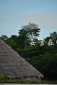 女方在怀孕期间多久不能离婚 女方在怀孕期间多久不能离婚