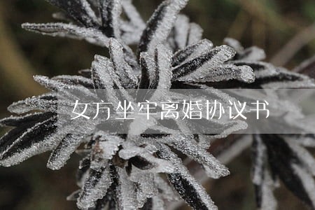 女方坐牢离婚协议书 女方坐牢离婚协议书