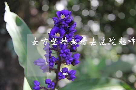 女方坚持离婚去法院起诉 女方坚持离婚去法院起诉