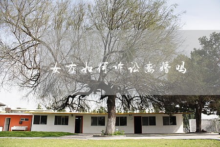 女方如何诉讼离婚吗
