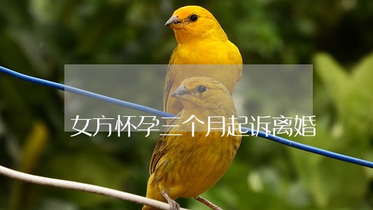 女方怀孕三个月起诉离婚 女方怀孕三个月起诉离婚