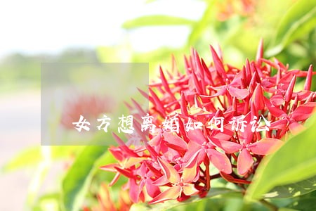 女方想离婚如何诉讼