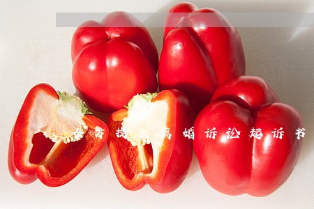 女方提出离婚诉讼起诉书
