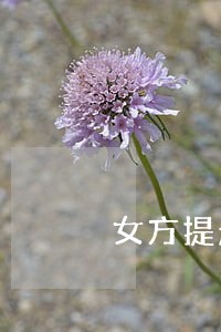 女方提起诉讼离婚流程和费用 女方提起诉讼离婚流程和费用