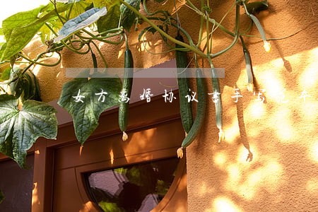 女方离婚协议书手写范本电子版 女方离婚协议书手写范本电子版