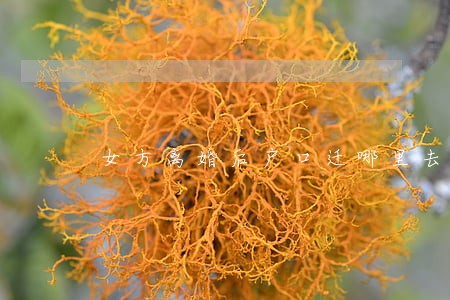 女方离婚后户口迁哪里去 女方离婚后户口迁哪里去