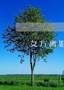 女方离婚带两个孩子再婚 女方离婚带两个孩子再婚