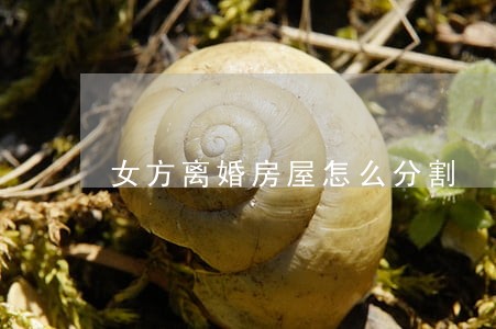 女方离婚房屋怎么分割 女方离婚房屋怎么分割