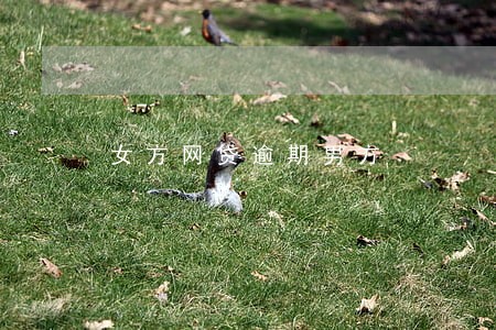 女方网贷逾期男方 女方网贷逾期男方