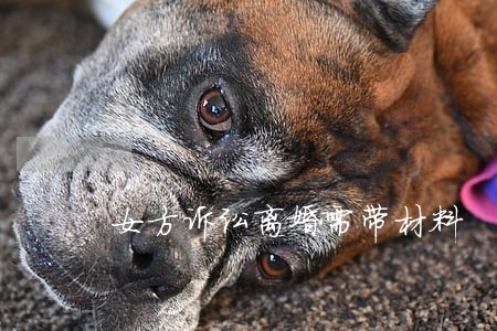 女方诉讼离婚需带材料 女方诉讼离婚需带材料