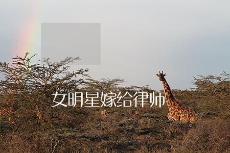 女明星嫁给律师 女明星嫁给律师