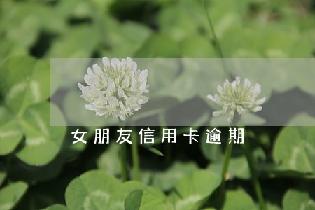女朋友信用卡逾期 女朋友信用卡逾期
