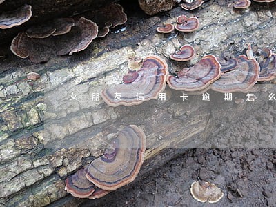女朋友信用卡逾期怎么办