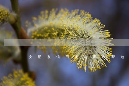 女朋友信用卡逾期我帮她还
