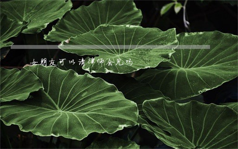 女朋友可以请律师会见吗 女朋友可以请律师会见吗