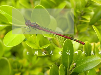 女朋友打电话叫我离婚 女朋友打电话叫我离婚