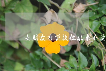 女朋友有贷款但从来不逾期 女朋友有贷款但从来不逾期