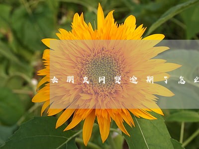 女朋友网贷逾期了怎么3周回税 女朋友网贷逾期了怎么3周回税