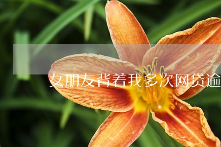 女朋友背着我多次网贷逾期 女朋友背着我多次网贷逾期