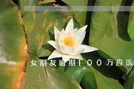 女朋友逾期100万应该怎么办 女朋友逾期100万应该怎么办