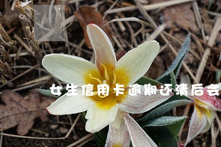 女生信用卡逾期还清后会上征信吗