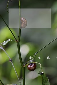 女生做律师和老师哪个好 女生做律师和老师哪个好