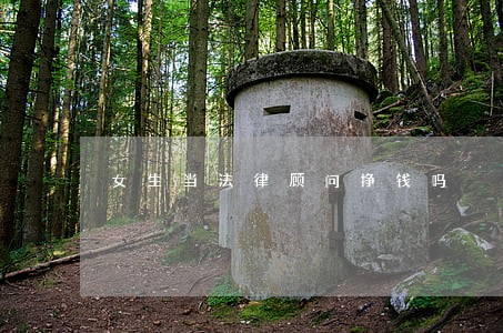 女生当法律顾问挣钱吗