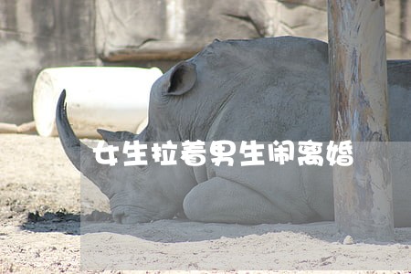 女生拉着男生闹离婚 女生拉着男生闹离婚