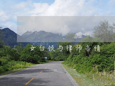 女白领与律师言情 女白领与律师言情