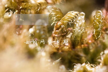 女的网贷逾期 女的网贷逾期