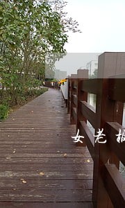 女老板违法销售警用强光手电 女老板违法销售警用强光手电