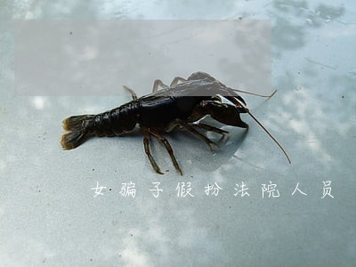 女骗子假扮法院人员 女骗子假扮法院人员