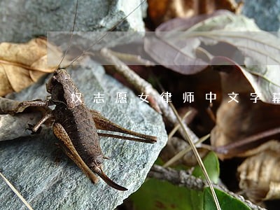 奴志愿女律师中文字幕bt 奴志愿女律师中文字幕bt