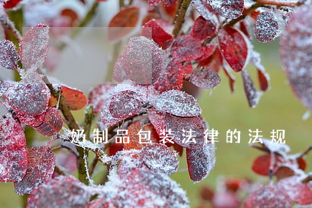 奶制品包装法律的法规