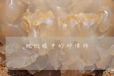 她们眼中的邓律师 她们眼中的邓律师