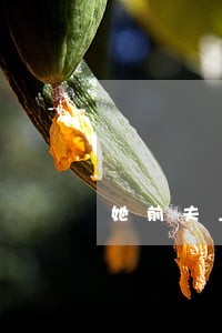 她前夫上门滋事我打他违法吗 她前夫上门滋事我打他违法吗