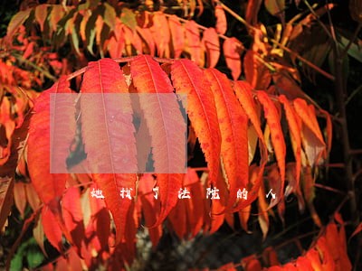 她找了法院的人 她找了法院的人