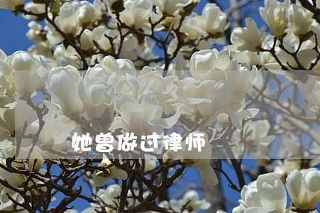 她曾做过律师 她曾做过律师
