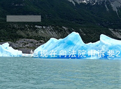 她现在向法院申诉要20万 她现在向法院申诉要20万