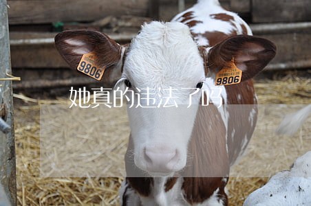 她真的违法了吗 她真的违法了吗