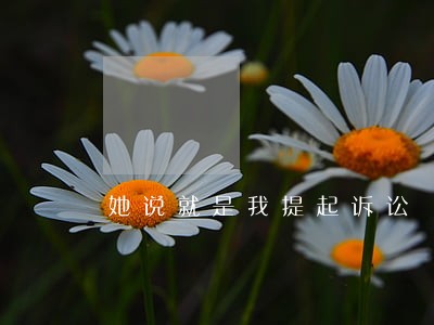 她说就是我提起诉讼 她说就是我提起诉讼