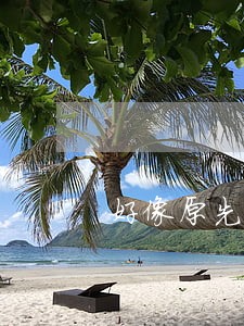 好像原先是一个律师 好像原先是一个律师